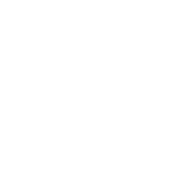 globe icon